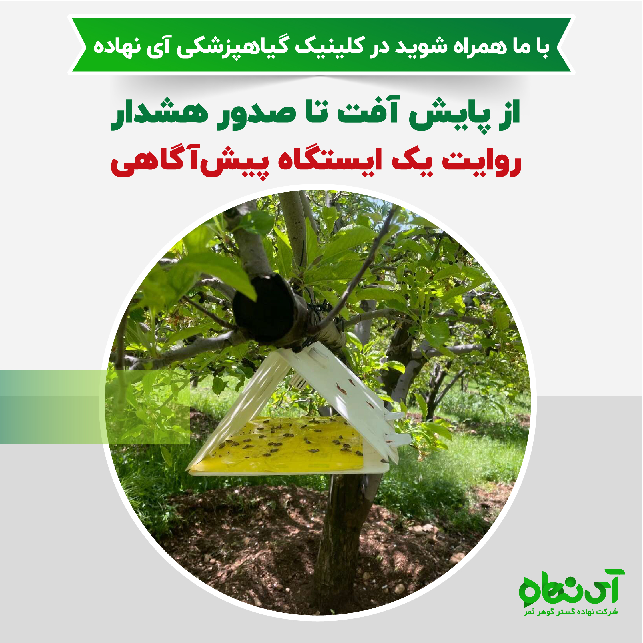 از پایش آفت تا صدور هشدار 